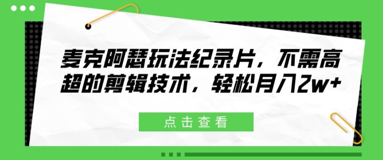 麦克阿瑟玩法纪录片，不需高超的剪辑技术，轻松月入2w+【揭秘】-赚金金-技能学习分享