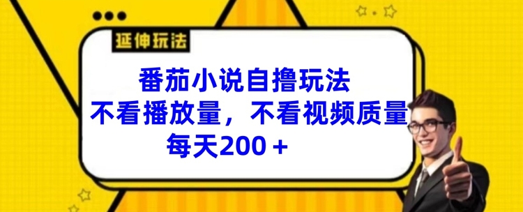 番茄小说自撸玩法，不看播放量，不看视频质量，每天200+【揭秘】-赚金金-技能学习分享