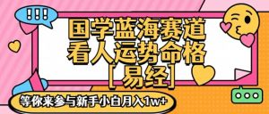 国学蓝海赋能赛道,零基础学习,手把手教学独一份新手小白月入1W+【揭秘】-赚金金-技能学习分享