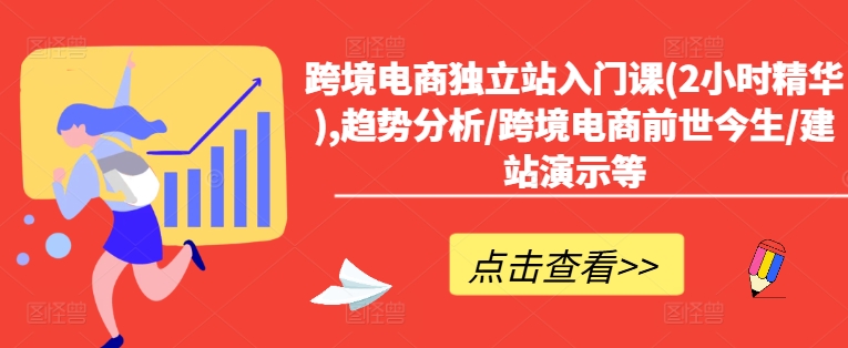 跨境电商独立站入门课(2小时精华),趋势分析/跨境电商前世今生/建站演示等-赚金金-技能学习分享