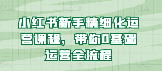 小红书新手精细化运营课程，带你0基础运营全流程-赚金金-技能学习分享