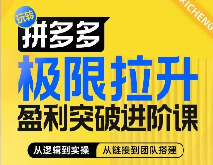 拼多多极限拉升盈利突破进阶课，​从算法到玩法，从玩法到团队搭建，体系化系统性帮助商家实现利润提升-赚金金-技能学习分享