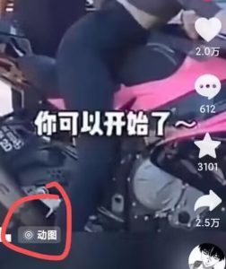 2024年7月苹果手机动图搬运技术-赚金金-技能学习分享