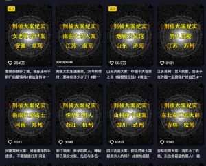 大案纪实解说课,2024年最新抖音大案教学教程-赚金金-技能学习分享