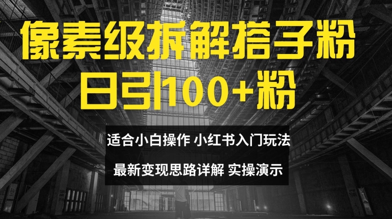 像素级拆解搭子粉，日引100+，小白看完可上手，最新变现思路详解【揭秘】-赚金金-技能学习分享