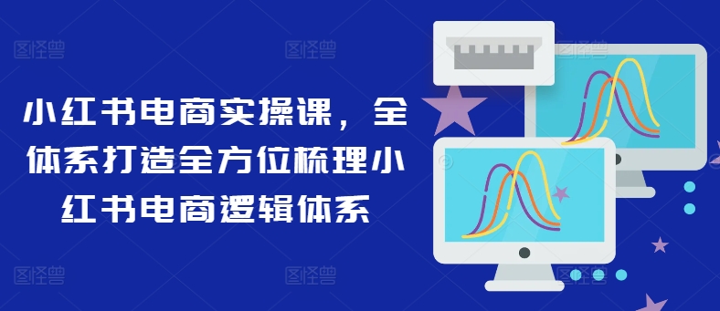 小红书电商实操课，全体系打造全方位梳理小红书电商逻辑体系-赚金金-技能学习分享