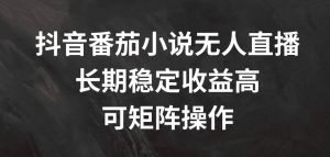 抖音番茄小说无人直播,长期稳定收益高,可矩阵操作【揭秘】-赚金金-技能学习分享