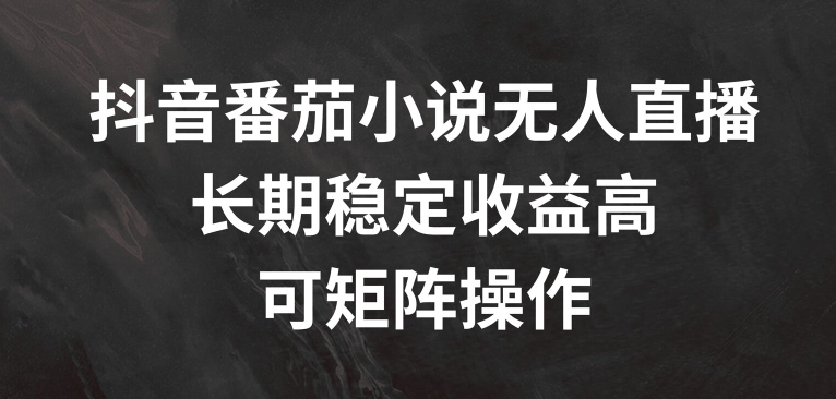 抖音番茄小说无人直播，长期稳定收益高，可矩阵操作【揭秘】-赚金金-技能学习分享