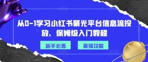 从0-1学习小红书聚光平台信息流投放,保姆级入门教程-赚金金-技能学习分享