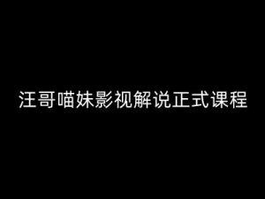 汪哥影视解说正式课程:剪映/PR教学/视解说剪辑5大黄金法则/全流程剪辑7把利器等等-赚金金-技能学习分享