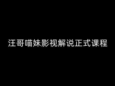 汪哥影视解说正式课程：剪映/PR教学/视解说剪辑5大黄金法则/全流程剪辑7把利器等等-赚金金-技能学习分享