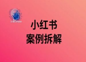 小红书案例拆解,深度解读小红书40万粉-赚金金-技能学习分享