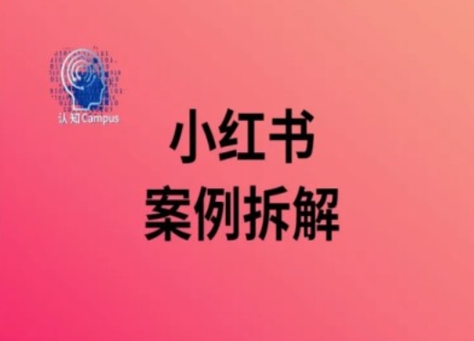 小红书案例拆解，深度解读小红书40万粉-赚金金-技能学习分享