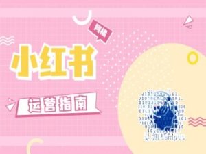 小红书运营指南,没有套路,全是经验-赚金金-技能学习分享