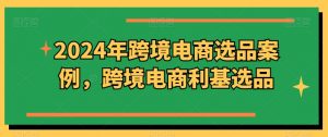 2024年跨境电商选品案例,跨境电商利基选品(更新)-赚金金-技能学习分享