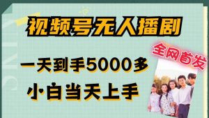 全网首发视频号无人播剧,拉爆流量不违规,一天到手5000多,小白当天上手,多号无限放大【揭秘】-赚金金-技能学习分享
