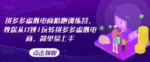 拼多多虚拟电商陪跑训练营,教你从0到1玩转拼多多虚拟电商,简单易上手(更新)-赚金金-技能学习分享