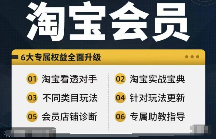 淘宝会员【淘宝所有课程，全面分析对手】，初级到高手全系实战宝典-赚金金-技能学习分享