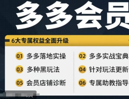 拼多多会员，拼多多实战宝典+实战落地实操，从新手到高阶内容全面覆盖-赚金金-技能学习分享