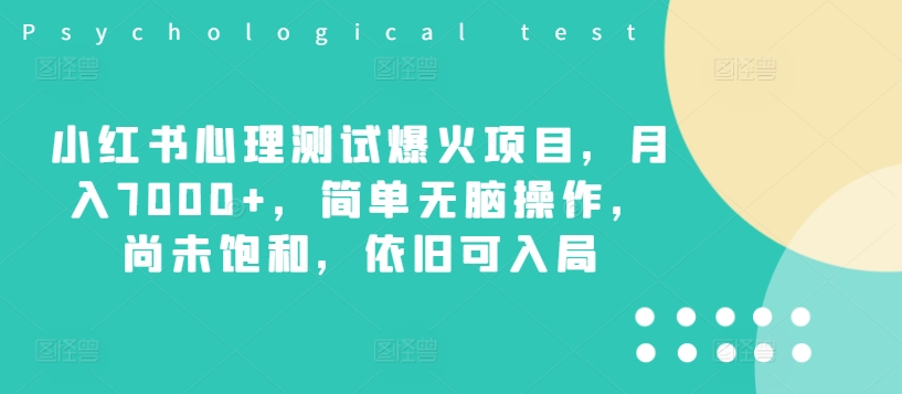 小红书心理测试爆火项目，月入7000+，简单无脑操作，尚未饱和，依旧可入局-赚金金-技能学习分享