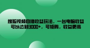 搜狐视频自撸收益玩法,一台电脑收益可以达到3k+,可矩阵,收益更高【揭秘】-赚金金-技能学习分享
