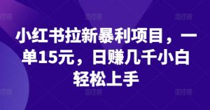 小红书拉新暴利项目,一单15元,日赚几千小白轻松上手【揭秘】-赚金金-技能学习分享