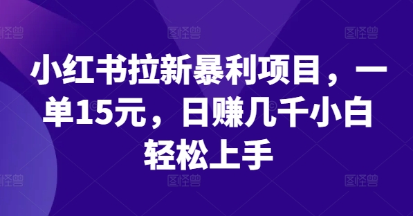 小红书拉新暴利项目，一单15元，日赚几千小白轻松上手【揭秘】-赚金金-技能学习分享