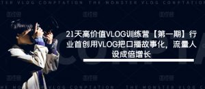 21天高价值VLOG训练营【第一期】行业首创用VLOG把口播故事化,流量人设成倍增长-赚金金-技能学习分享