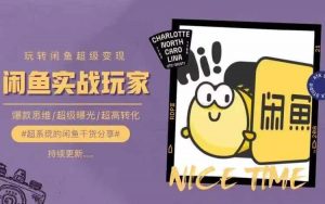 从0到1系统玩转闲鱼变现，教你核心选品思维，提升产品曝光及转化率-赚金金-技能学习分享