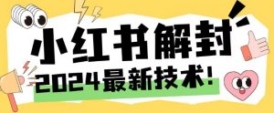 2024最新小红书账号封禁解封方法,无限释放手机号【揭秘】-赚金金-技能学习分享