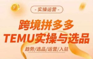 跨境拼多多TEMU实操与选品,多多temu跨境选品运营实操-赚金金-技能学习分享