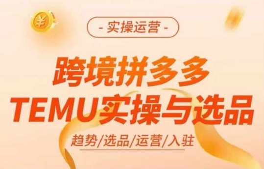 跨境拼多多TEMU实操与选品，多多temu跨境选品运营实操-赚金金-技能学习分享