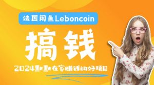 法国闲鱼Leboncoin跨境电商教程：环境邮箱电话解决产品上传及流量，悄悄赚钱【揭秘】-赚金金-技能学习分享