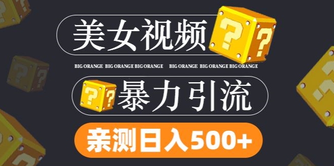 搬运tk美女视频全网分发，日引s粉300+，轻松变现，不限流量不封号【揭秘】-赚金金-技能学习分享