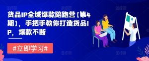 货品IP全域爆款陪跑营【第4期】,手把手教你打造货品IP,爆款不断-赚金金-技能学习分享