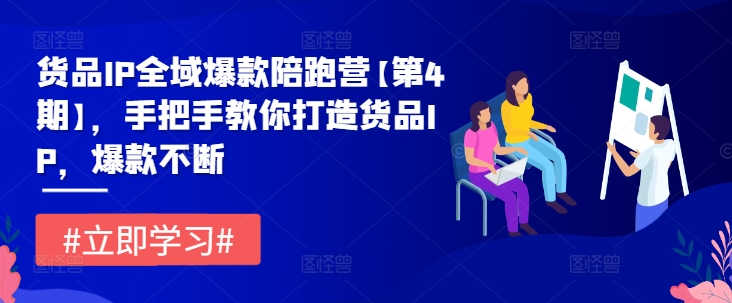 货品IP全域爆款陪跑营【第4期】，手把手教你打造货品IP，爆款不断-赚金金-技能学习分享