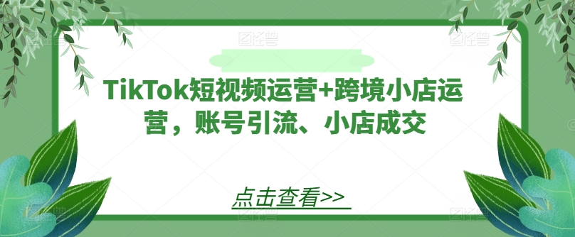 TikTok短视频运营+跨境小店运营，账号引流、小店成交-赚金金-技能学习分享