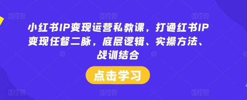 小红书IP变现运营私教课，打通红书IP变现任督二脉，底层逻辑、实操方法、战训结合-赚金金-技能学习分享