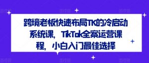 跨境老板快速布局TK的冷启动系统课,TikTok全案运营课程,小白入门最佳选择-赚金金-技能学习分享