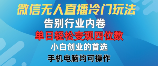 微信无人直播冷门玩法，告别行业内卷，单日轻松变现四位数，小白的创业首选【揭秘】-赚金金-技能学习分享