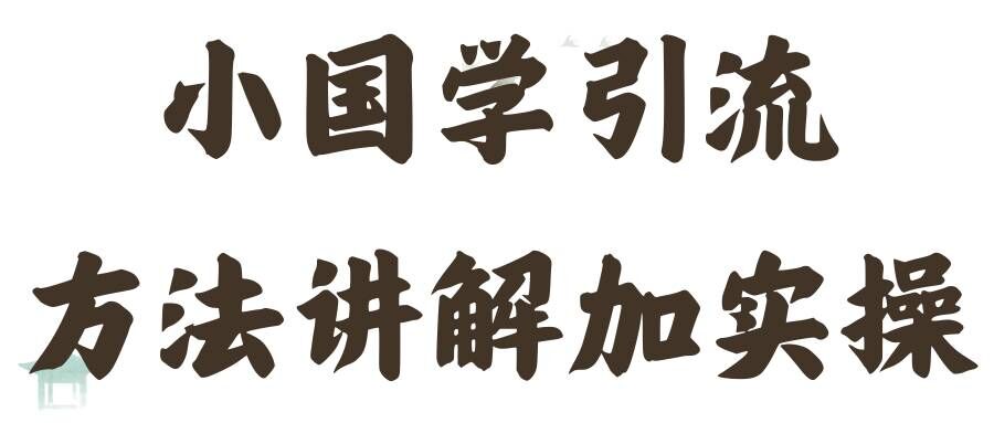 国学引流方法实操教学，日加50个精准粉【揭秘】-赚金金-技能学习分享