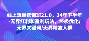 线上流量密训班21.0,24年下半年-无界红利和盈利玩法,终极优化/无界关键词/无界精准人群-赚金金-技能学习分享