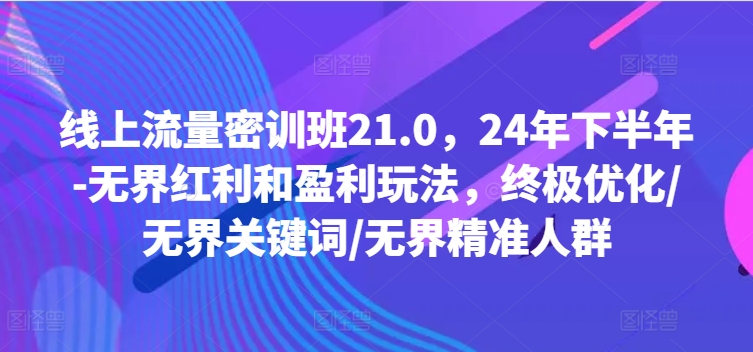 线上流量密训班21.0，24年下半年-无界红利和盈利玩法，终极优化/无界关键词/无界精准人群-赚金金-技能学习分享