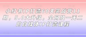 小红书IP打造60天实战营11期,5.0大升级,全网独一无二的自媒体IP打造课程-赚金金-技能学习分享