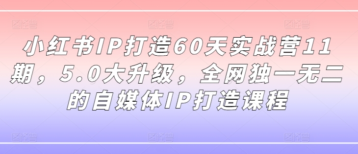 小红书IP打造60天实战营11期，5.0大升级，全网独一无二的自媒体IP打造课程-赚金金-技能学习分享