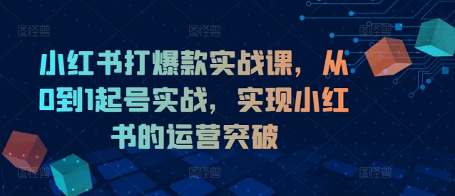 小红书打爆款实战课，从0到1起号实战，实现小红书的运营突破-赚金金-技能学习分享
