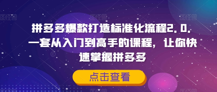 拼多多爆款打造标准化流程2.0，一套从入门到高手的课程，让你快速掌握拼多多-赚金金-技能学习分享
