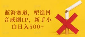 蓝海赛道,塑造抖音戒烟IP,新手小白日入500+【揭秘】-赚金金-技能学习分享