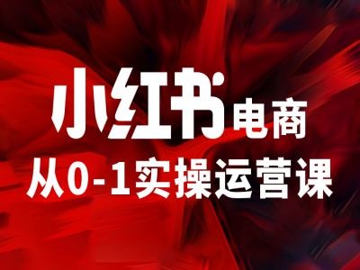 小红书电商从0-1实操运营课，让你从小白到精英-赚金金-技能学习分享