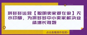 拼多多运营【聪明卖家都在做】无水印版,为拼多多中小卖家解决业绩增长难题-赚金金-技能学习分享